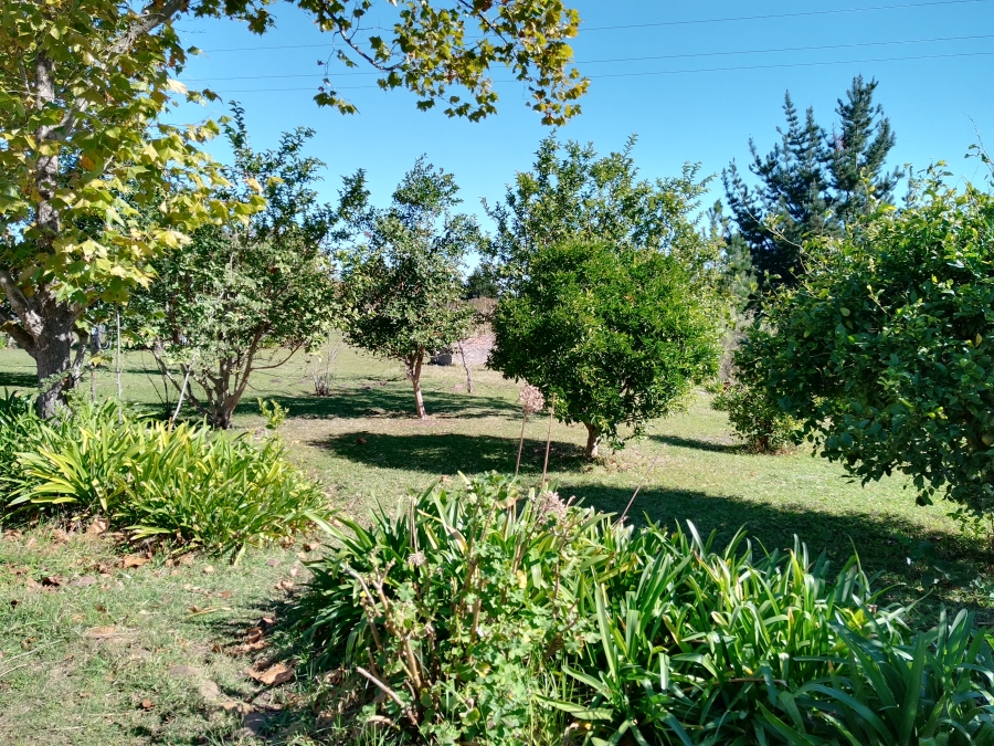 12 Bedroom Property for Sale in Friemersheim Western Cape